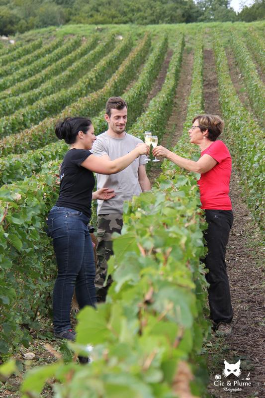 Champagne Marchand Delpech Laborie - Exploitation